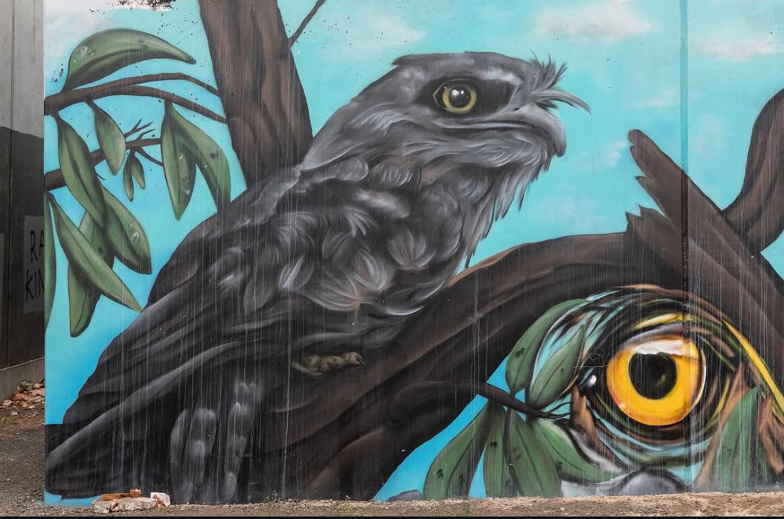 Kream Art&mdash;Tawny Frogmouth