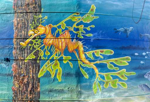 Warooka Water Tank Art