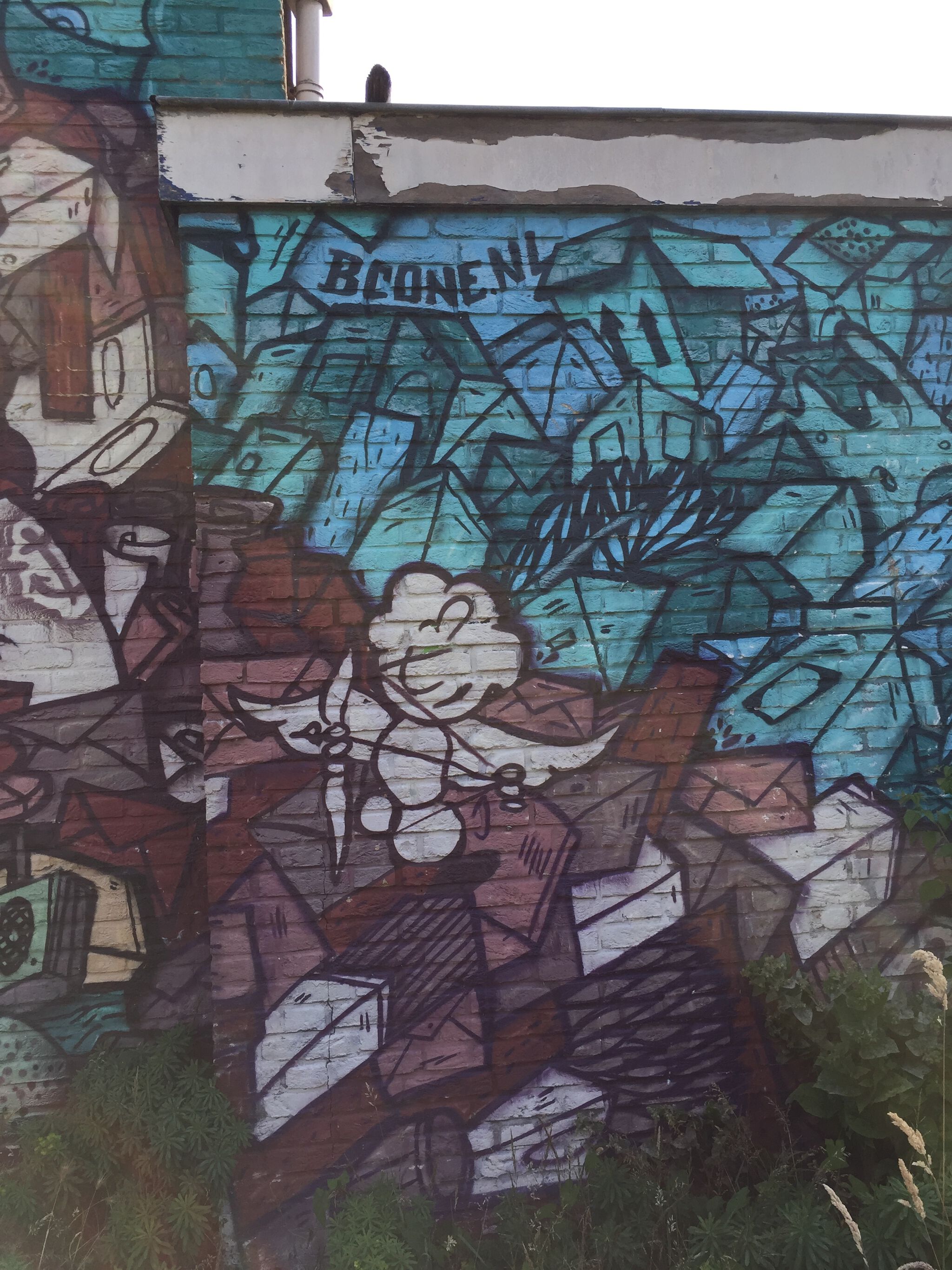 BCone&mdash;Big dove on a wall