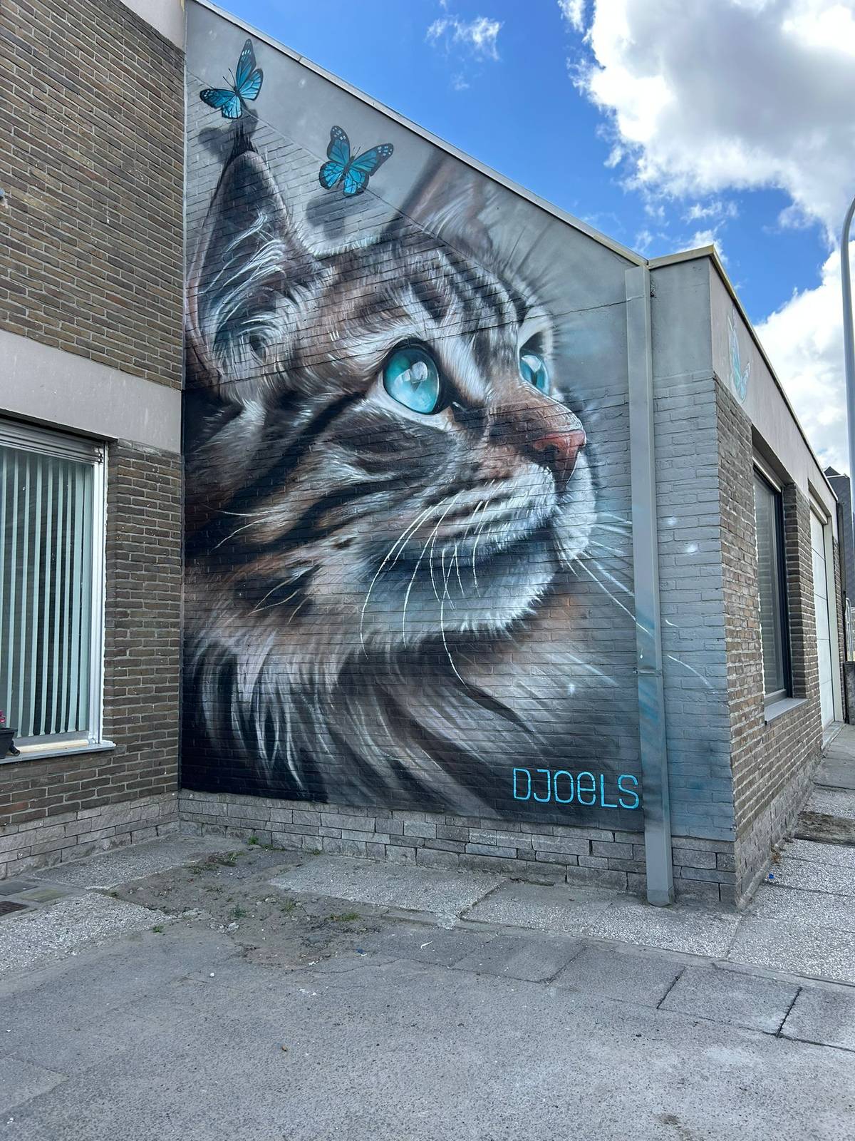 Djoels&mdash;undefined