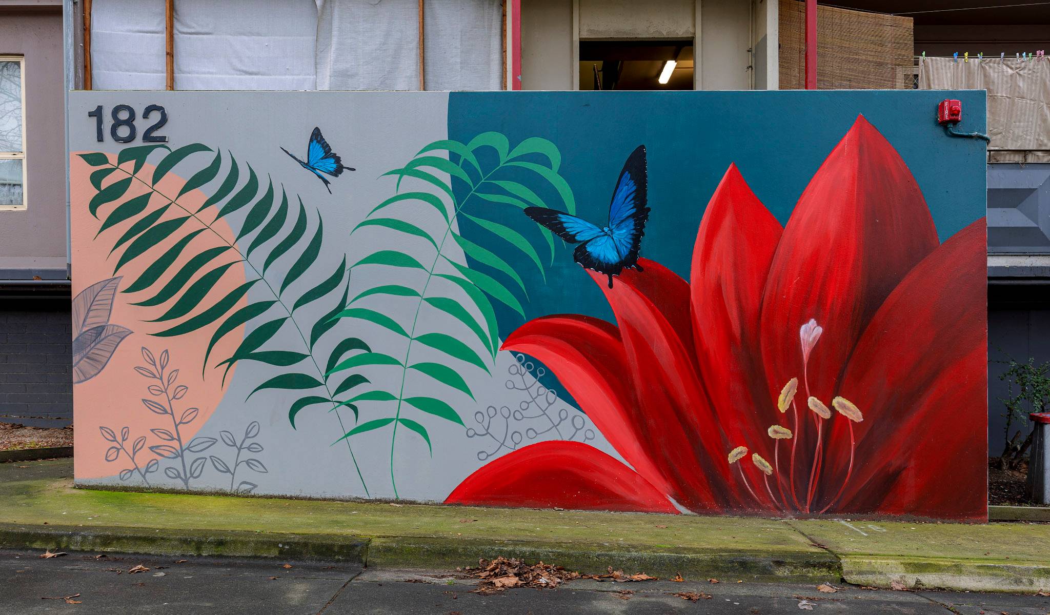 Melbourne's Murals&mdash;Red Hibiscus