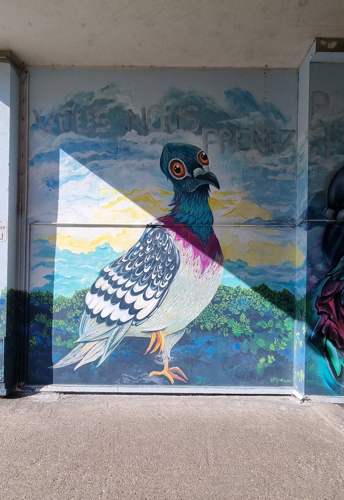 Dune Cros&mdash;Pigeons