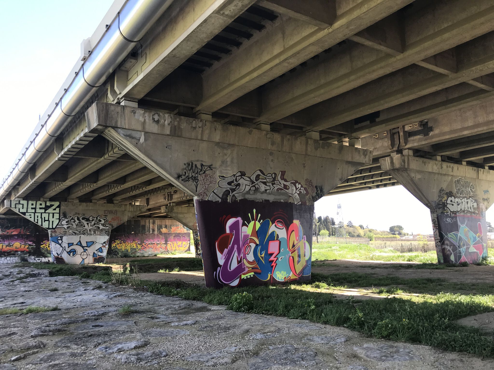Momies&mdash;Momies Lironde