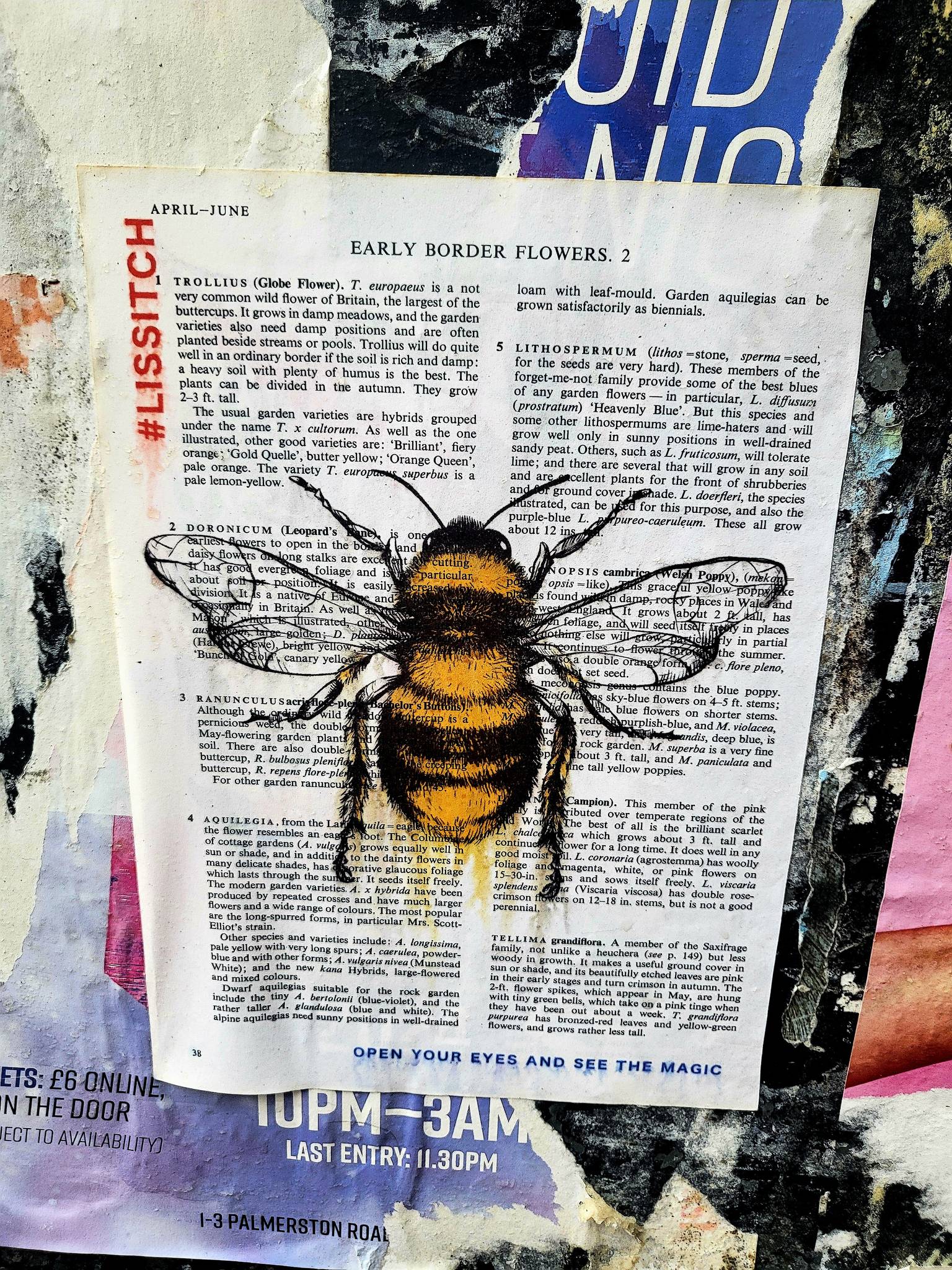 Roo Abrook, farkFK, My Dog Sighs, RoosArt, Mister Samo, Berk MLC, South Soak, Various Artists, Claudia La Bianca, Irony&mdash;Palmerston Road Precinct