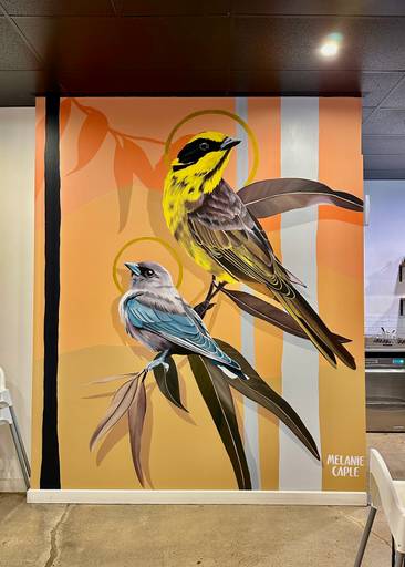 Yellow Tufted Honeyeater & Dusky Woodswallow