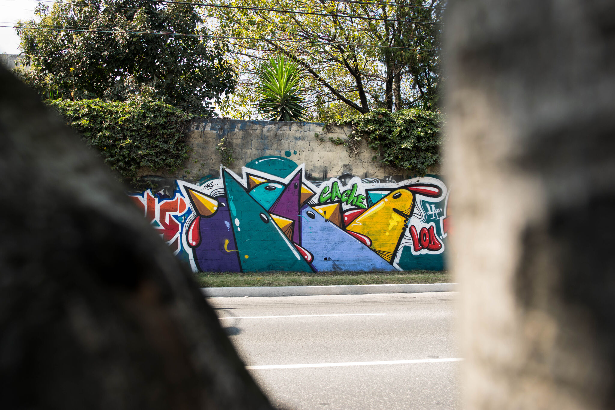 Cache&mdash;Chicks on the street