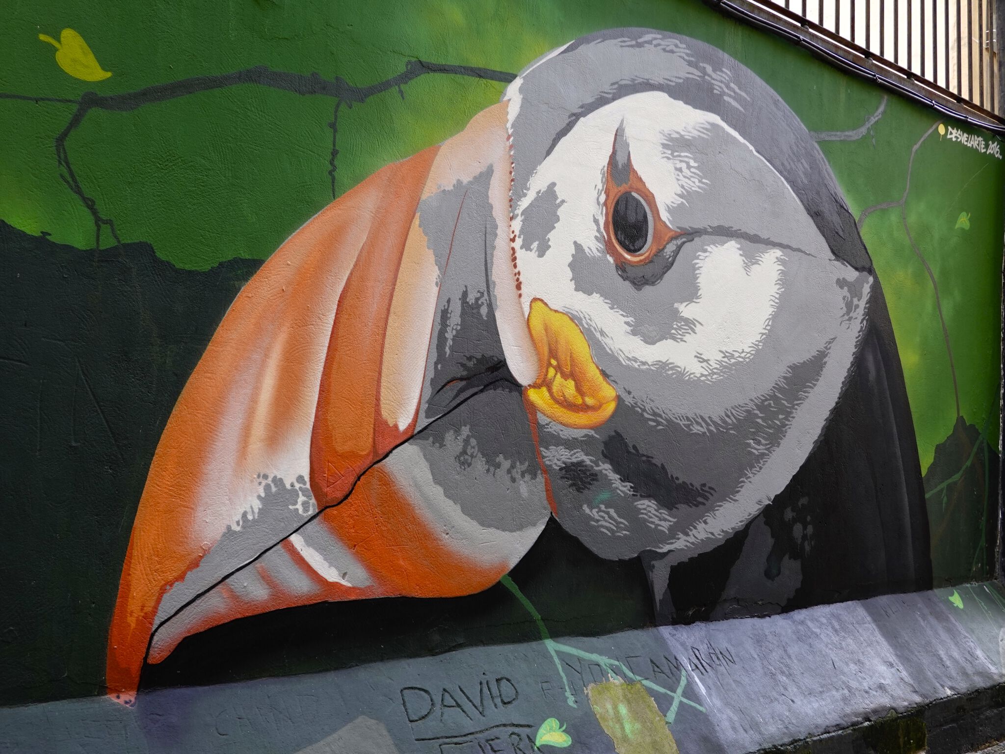 DEN XL ( Eva Mena), Jank&mdash;Papagayos and Parrots