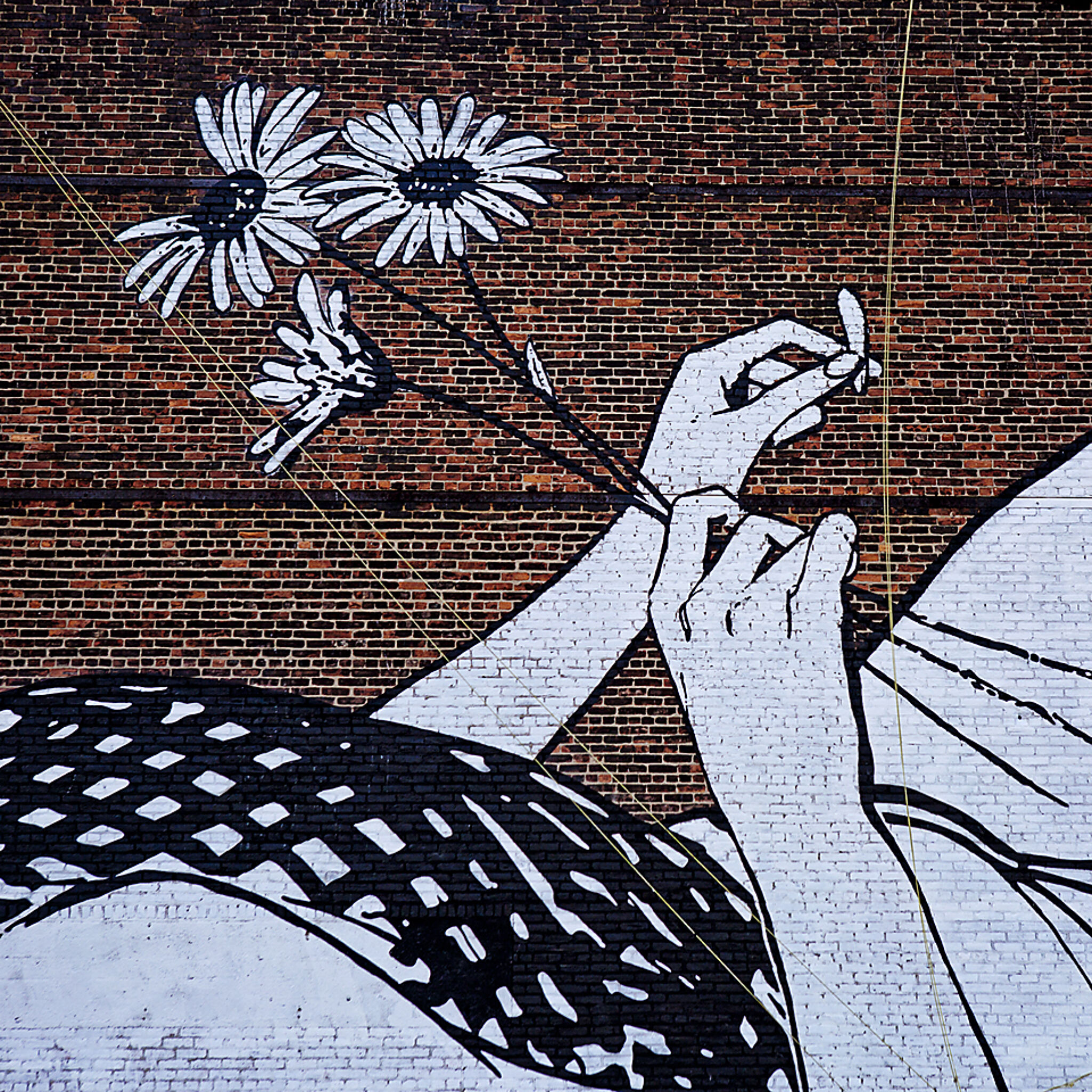 Faile&mdash;Love Me, Love Me Not