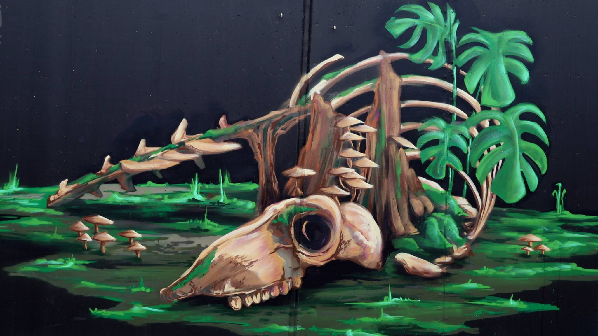 Timmy Lazr&mdash;Untitled