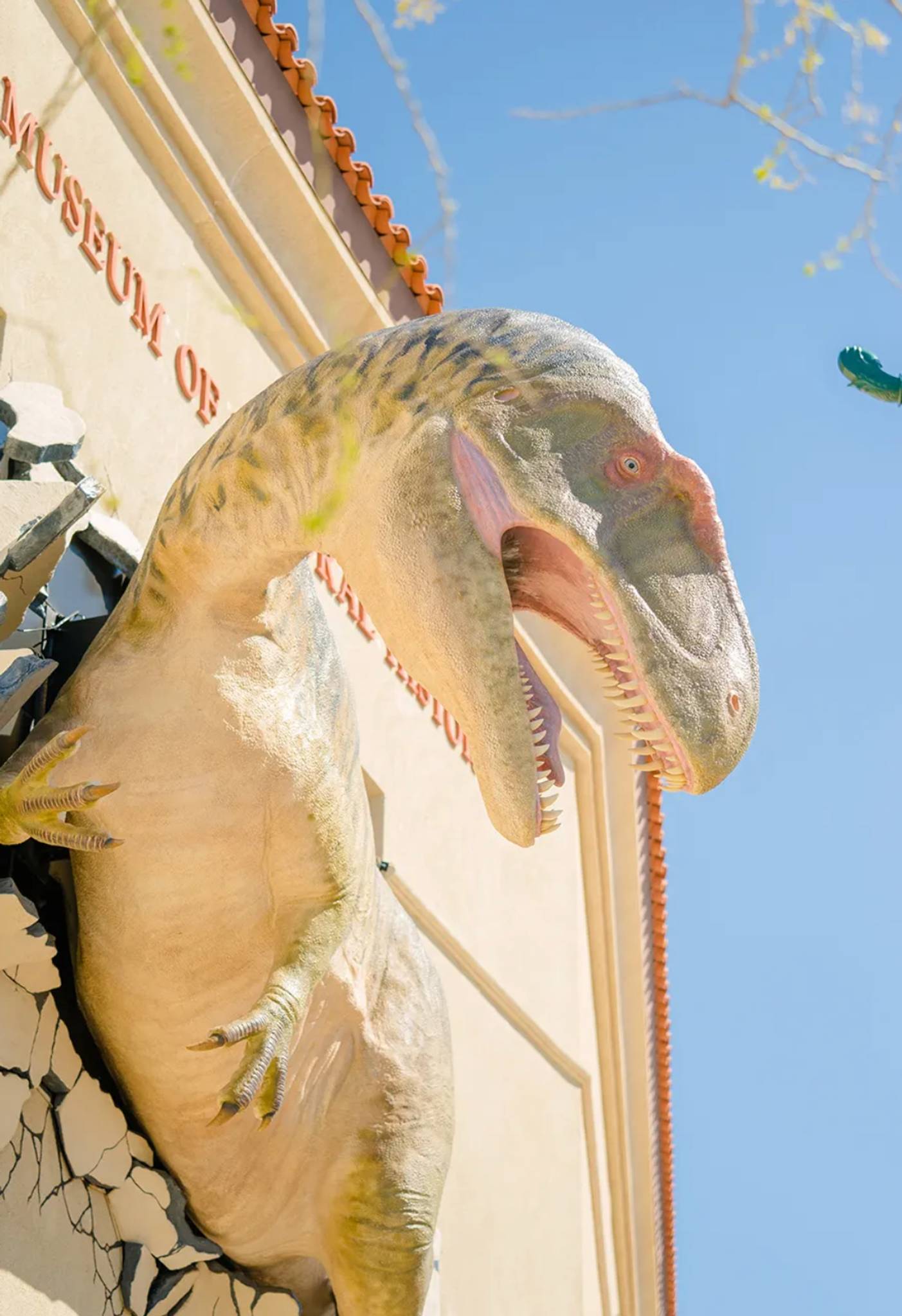 Dimensional Innovations&mdash;Acrocanthosaurus