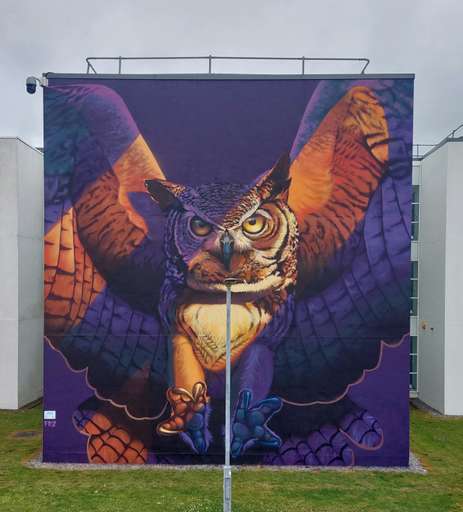 Owl Of Wisdom