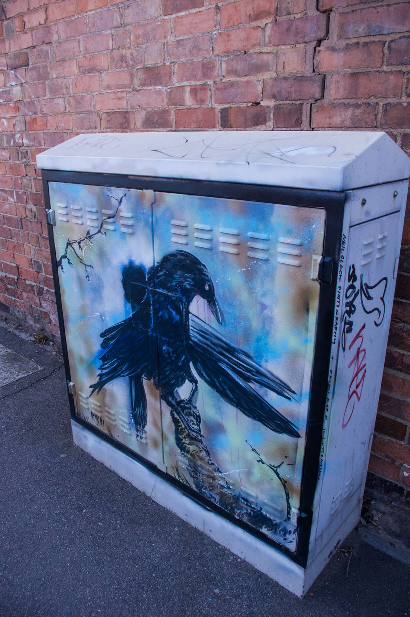Rikki Marr&mdash;Crows