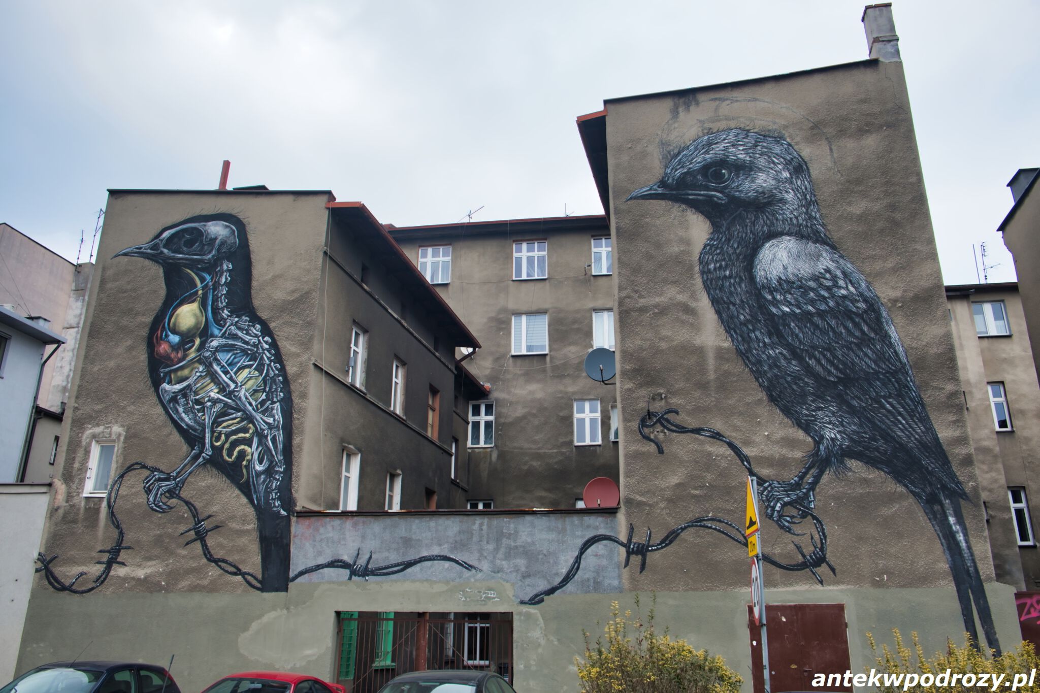 Roa&mdash;Ptaki