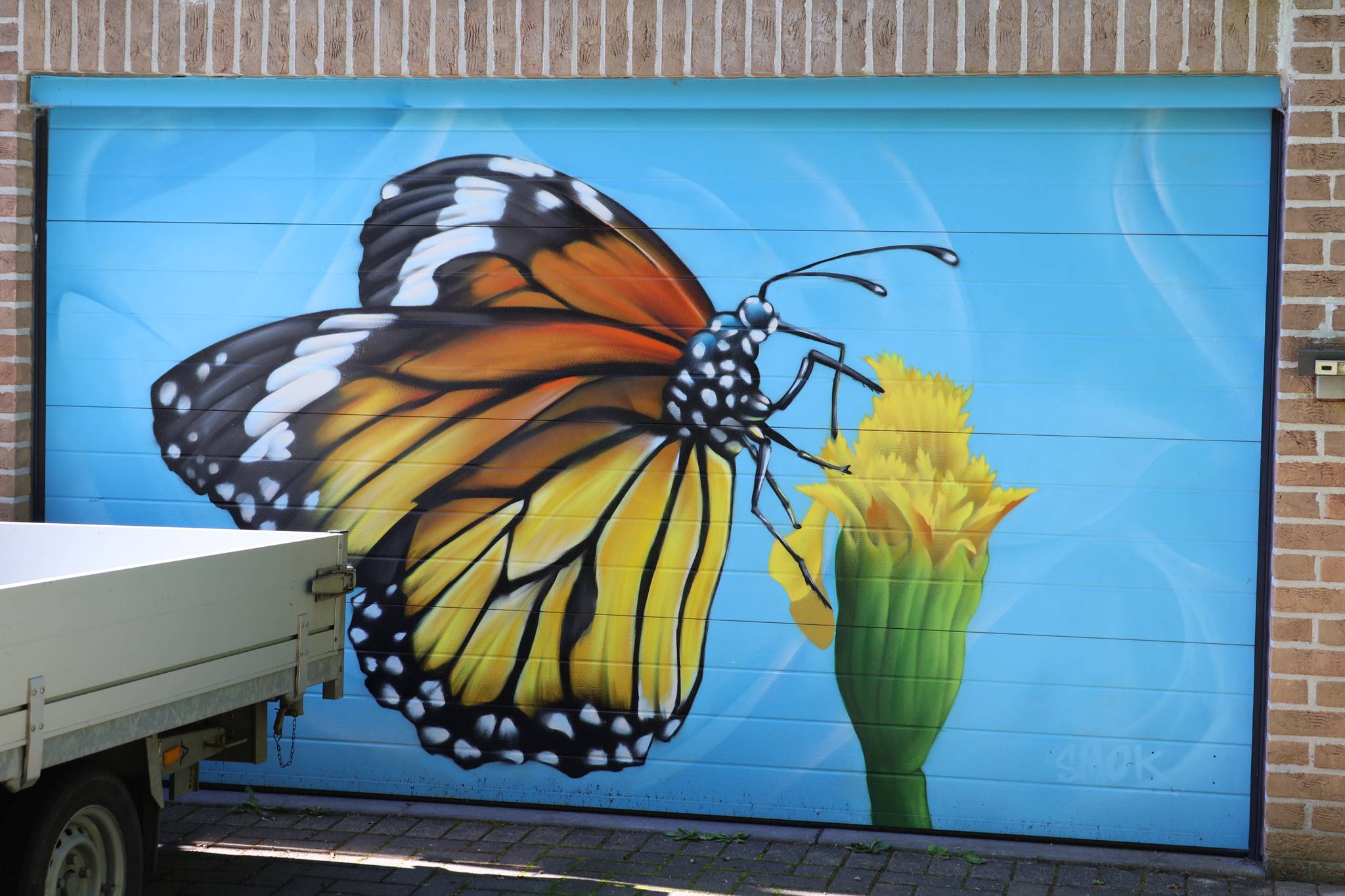 SMOK&mdash;Butterfly
