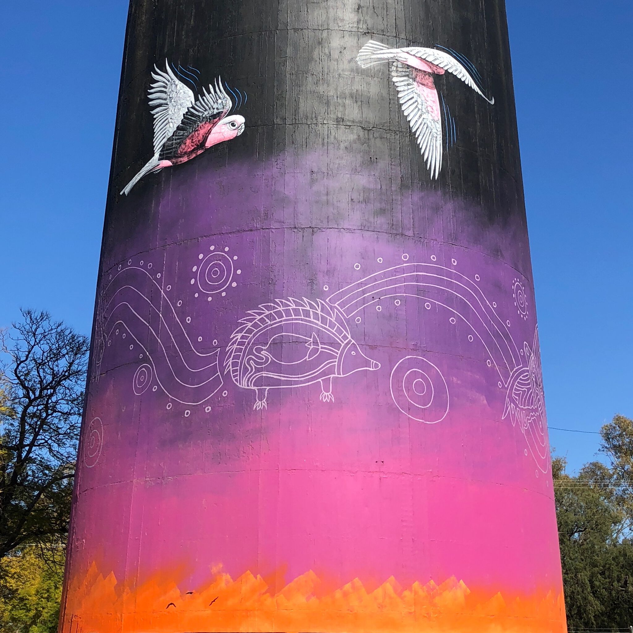 John Murray, Sooty Welsh&mdash;Coonamble Water Tower
