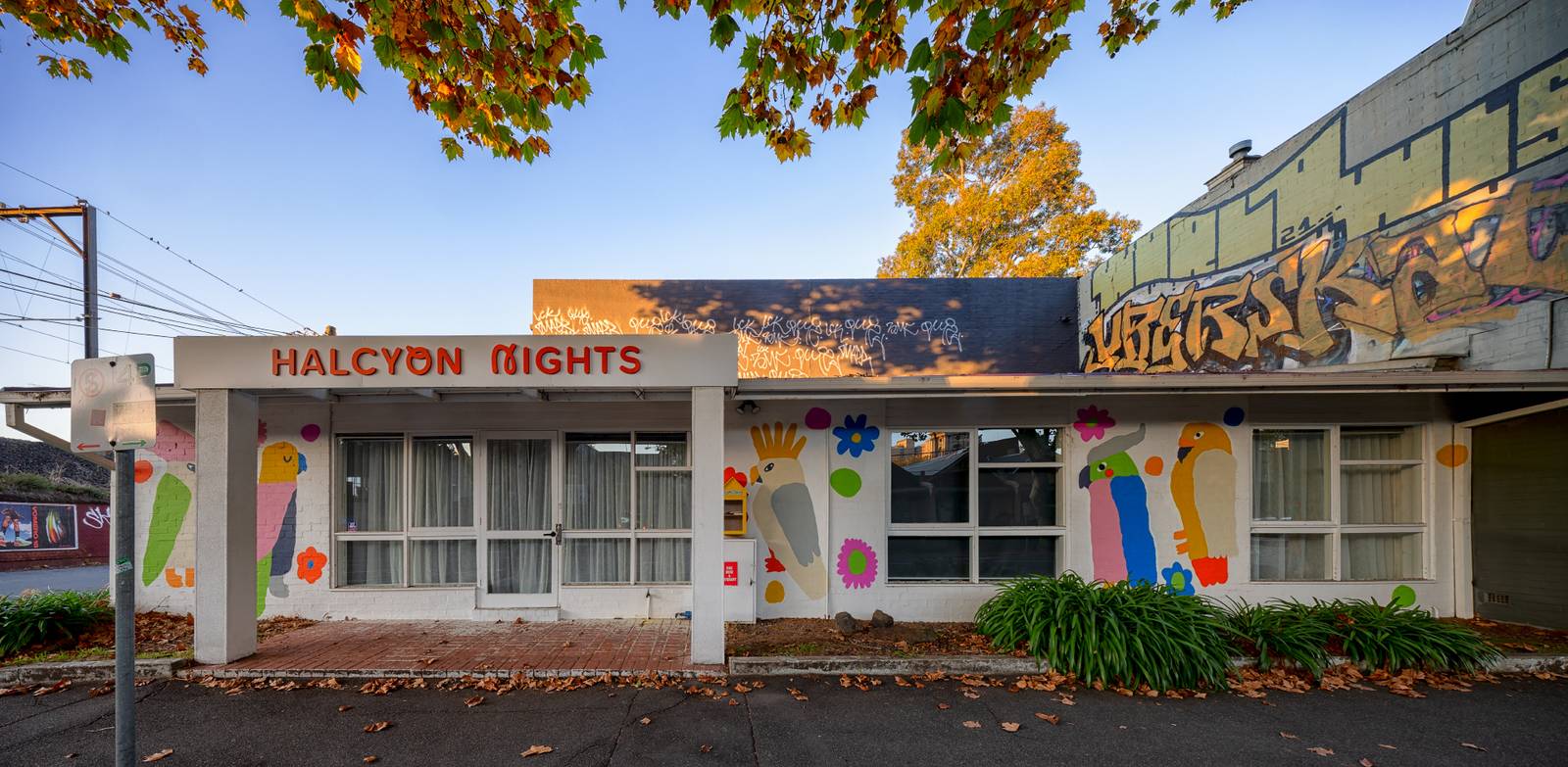 Unknown - Melbourne&mdash;Halycon Nights