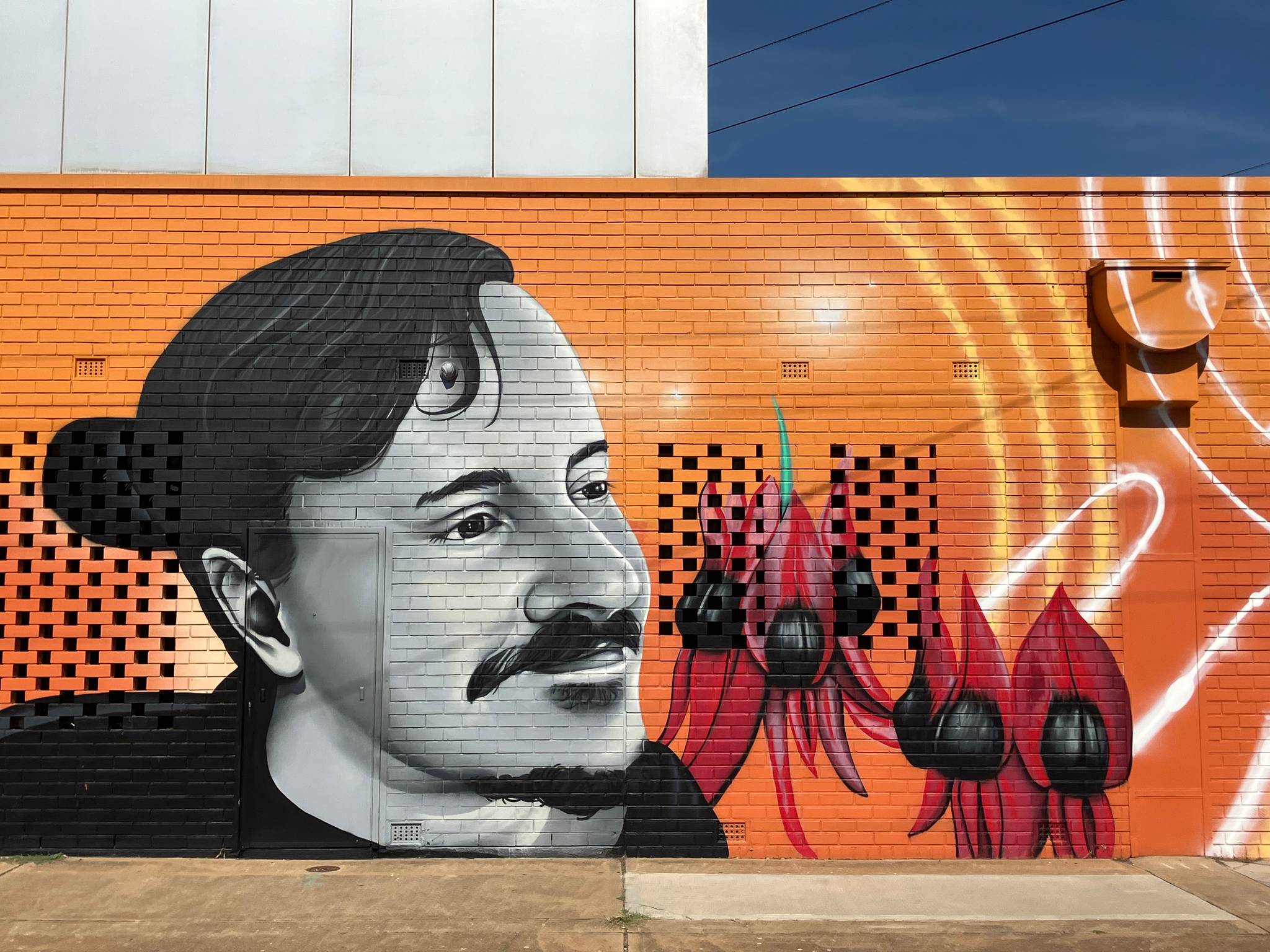 TR Visual Arts, Shane Kooka&mdash;undefined