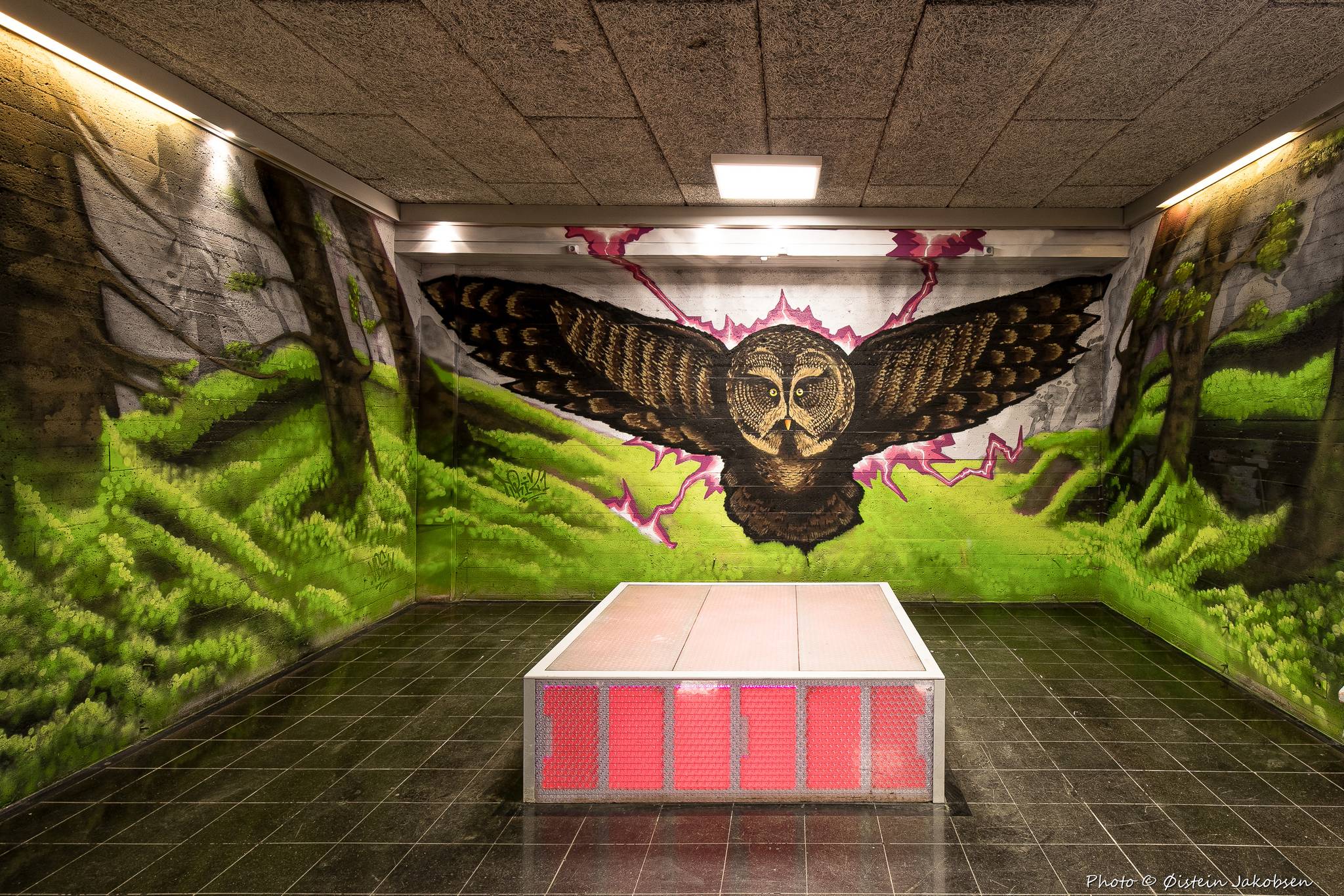 &mdash;Slåtthaug Vgs - The Project