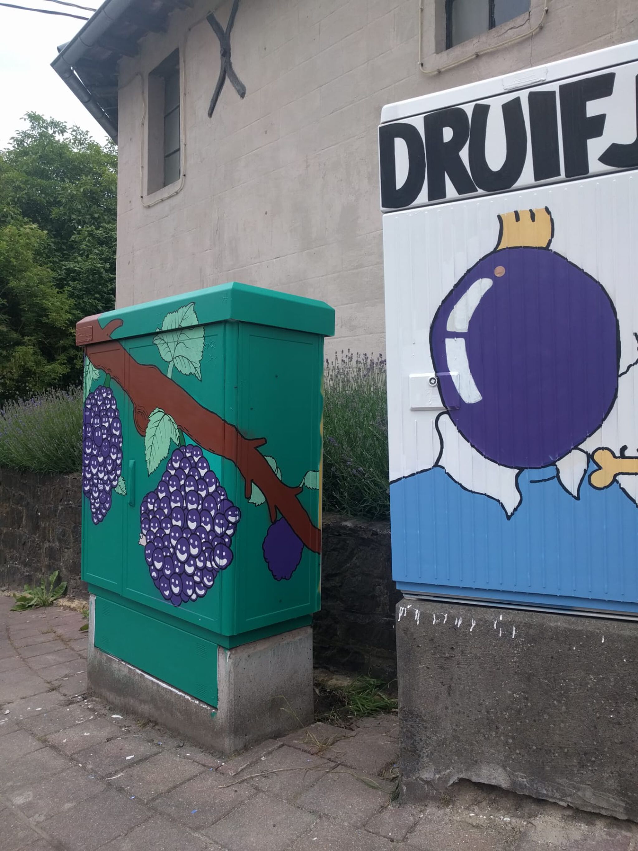 Bearhole&mdash;Tour Elentrik - Druifje