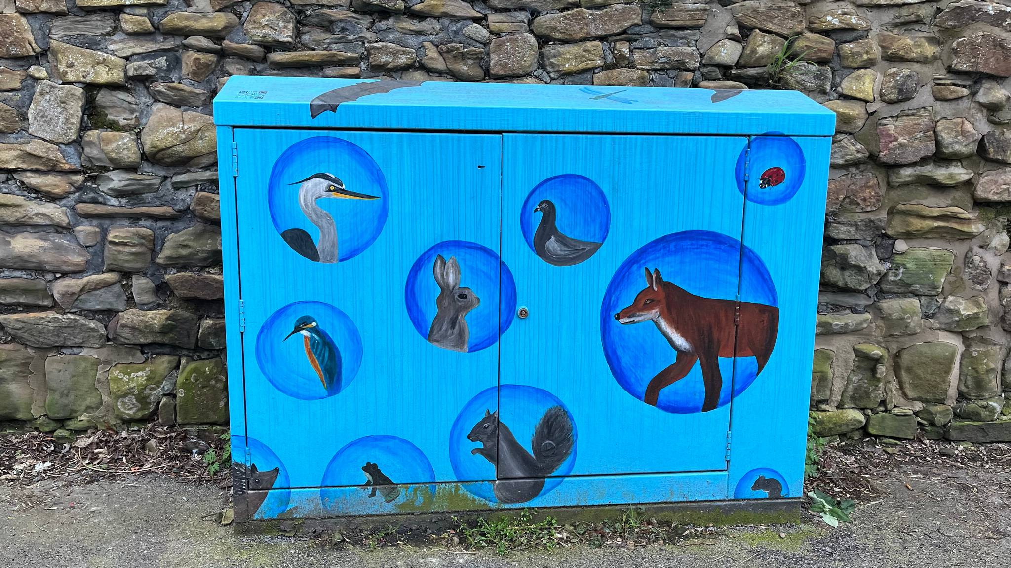 Unknown - Sheffield&mdash;Wildlife in bubbles