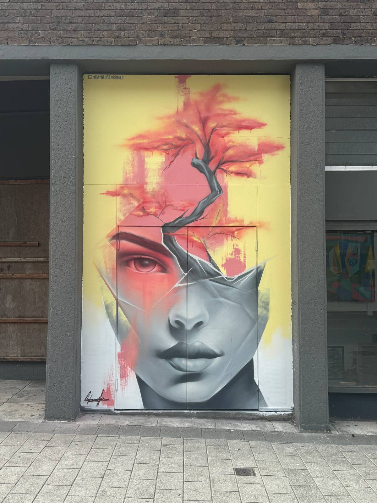 Adam Illes&mdash;Blossom