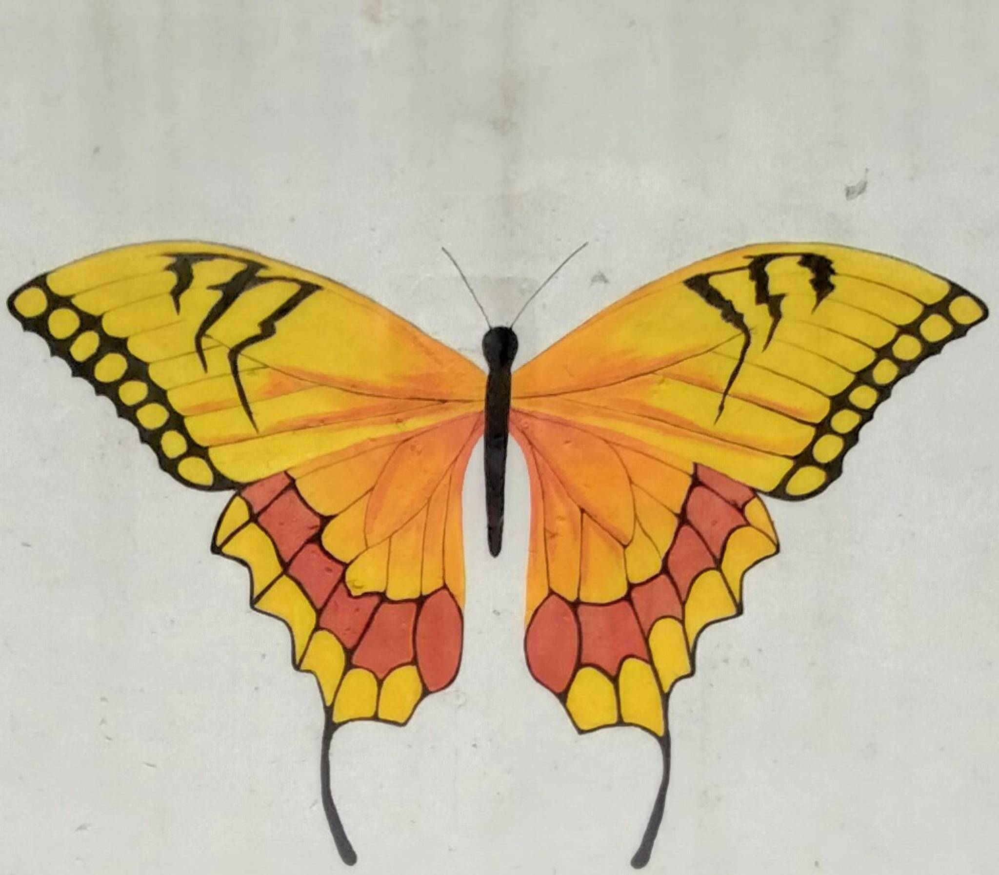 Mrs Murals&mdash;Butterfly Subway