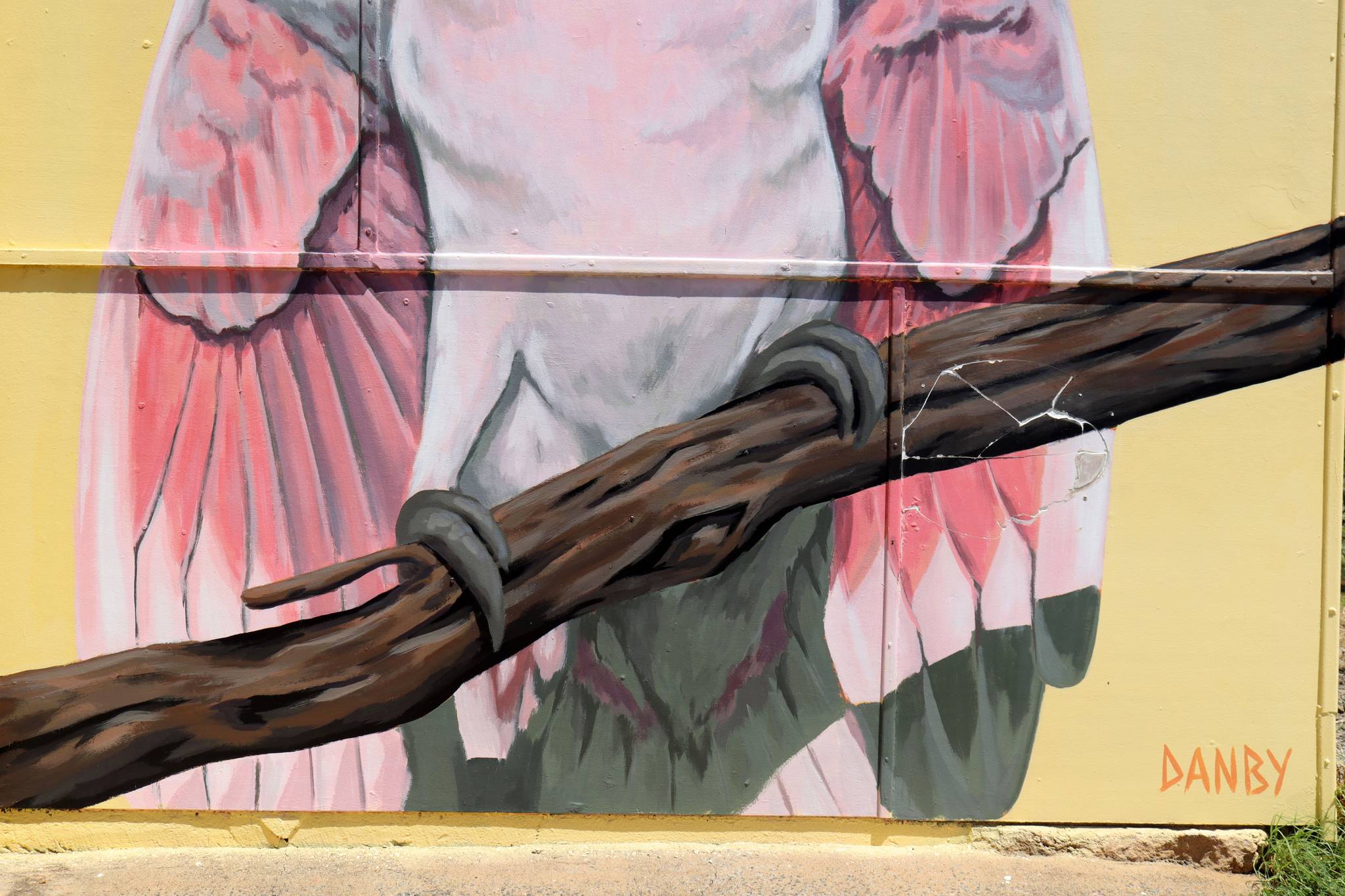 Jarad Danby&mdash;Feathers Café
