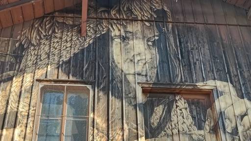 Die Frau vom Feld
