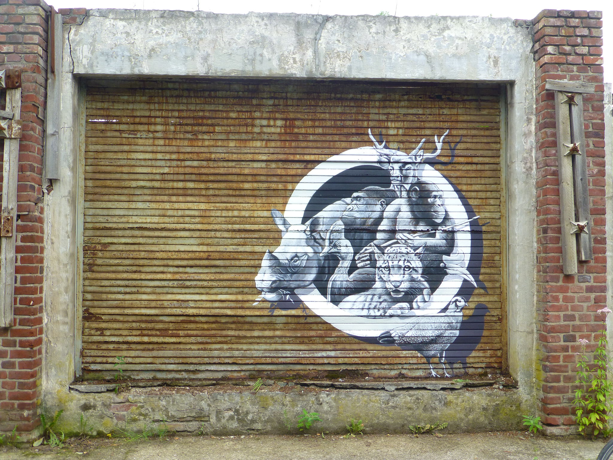 Carlos Alberto GH&mdash;Together we're the same