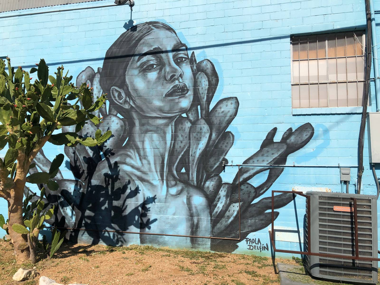 Paola Delfin&mdash;Mis raices / My roots