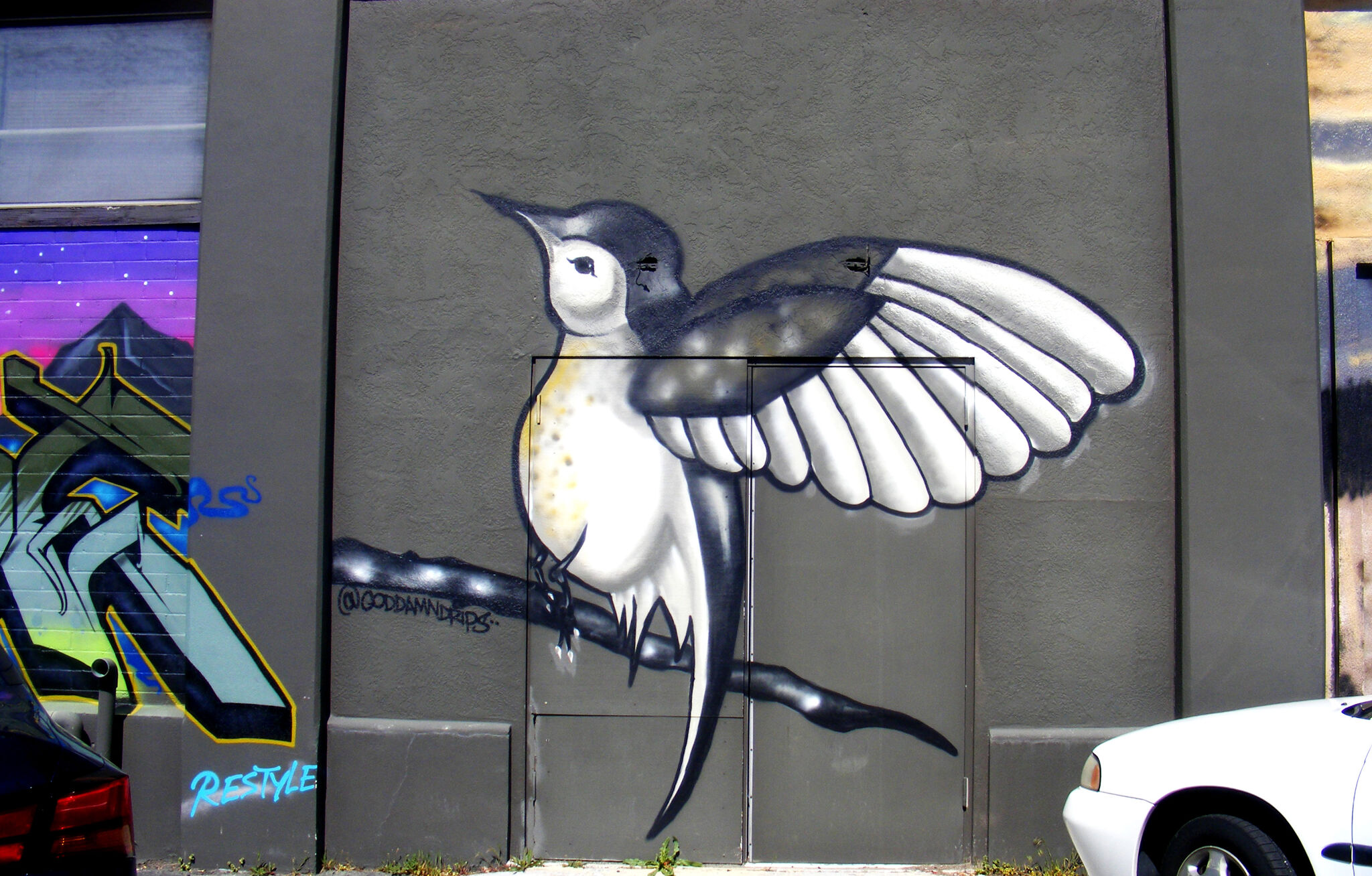 Conchas_Art, Goddamndrips, LaioMichels, Tony Caprai&mdash;Restyle Animal Rescue Thrift Store Mural Project