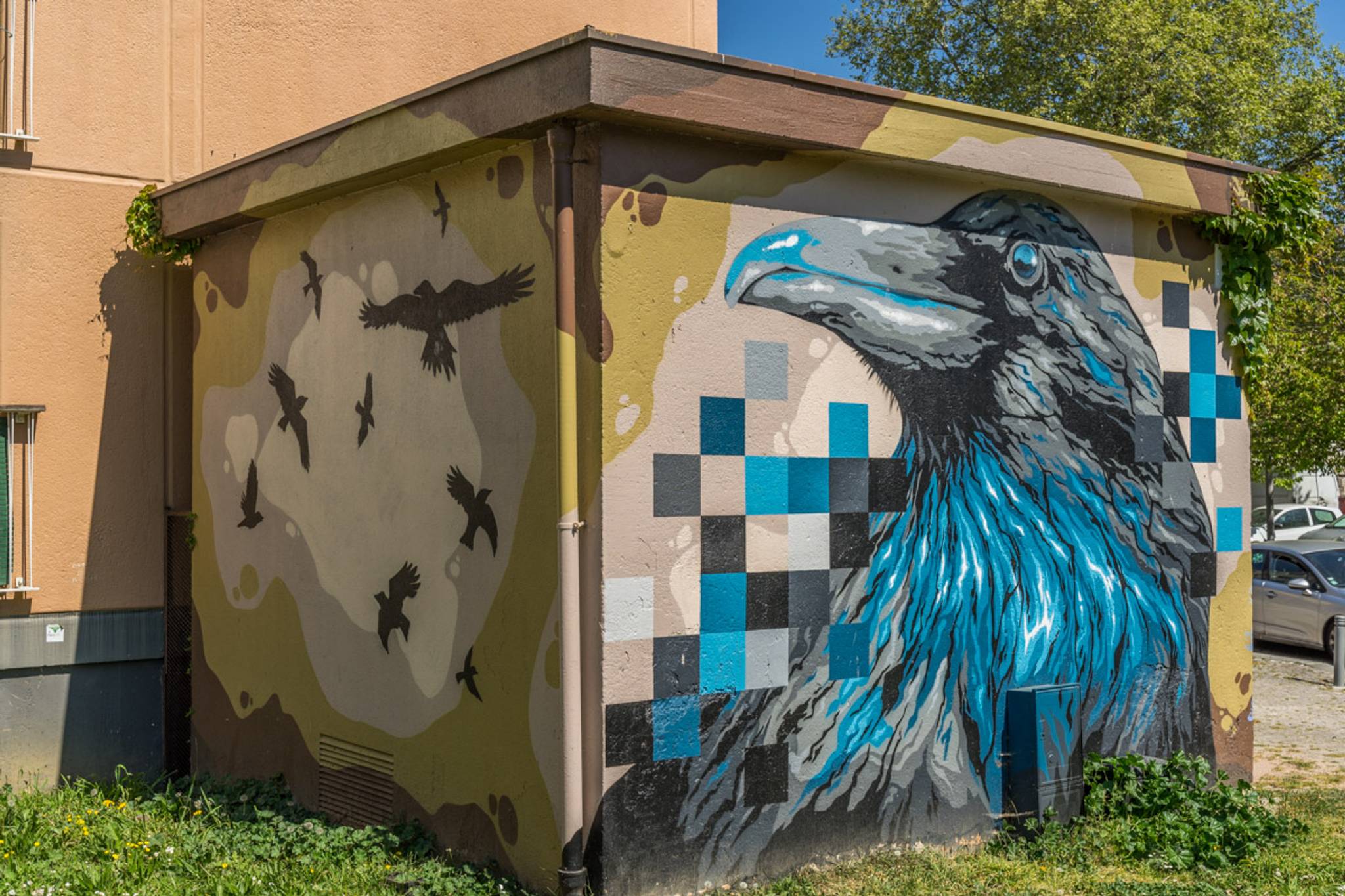 Idem, Mozaik&mdash;Plaine Des Corbeaux