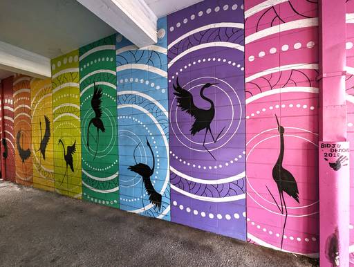 Brolga Song and Dance