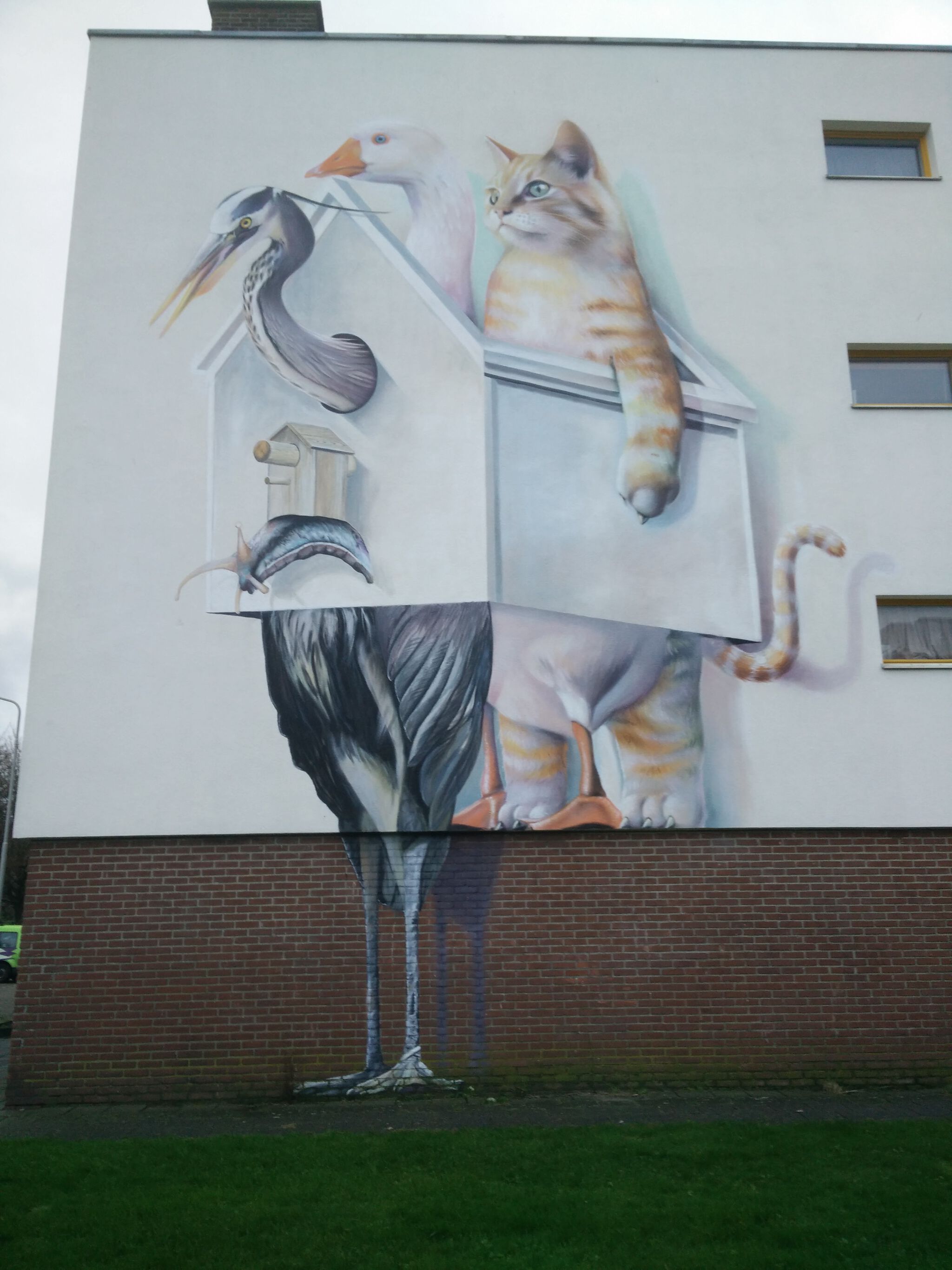 Barre Verkerke, Super A&mdash;Local wildlife