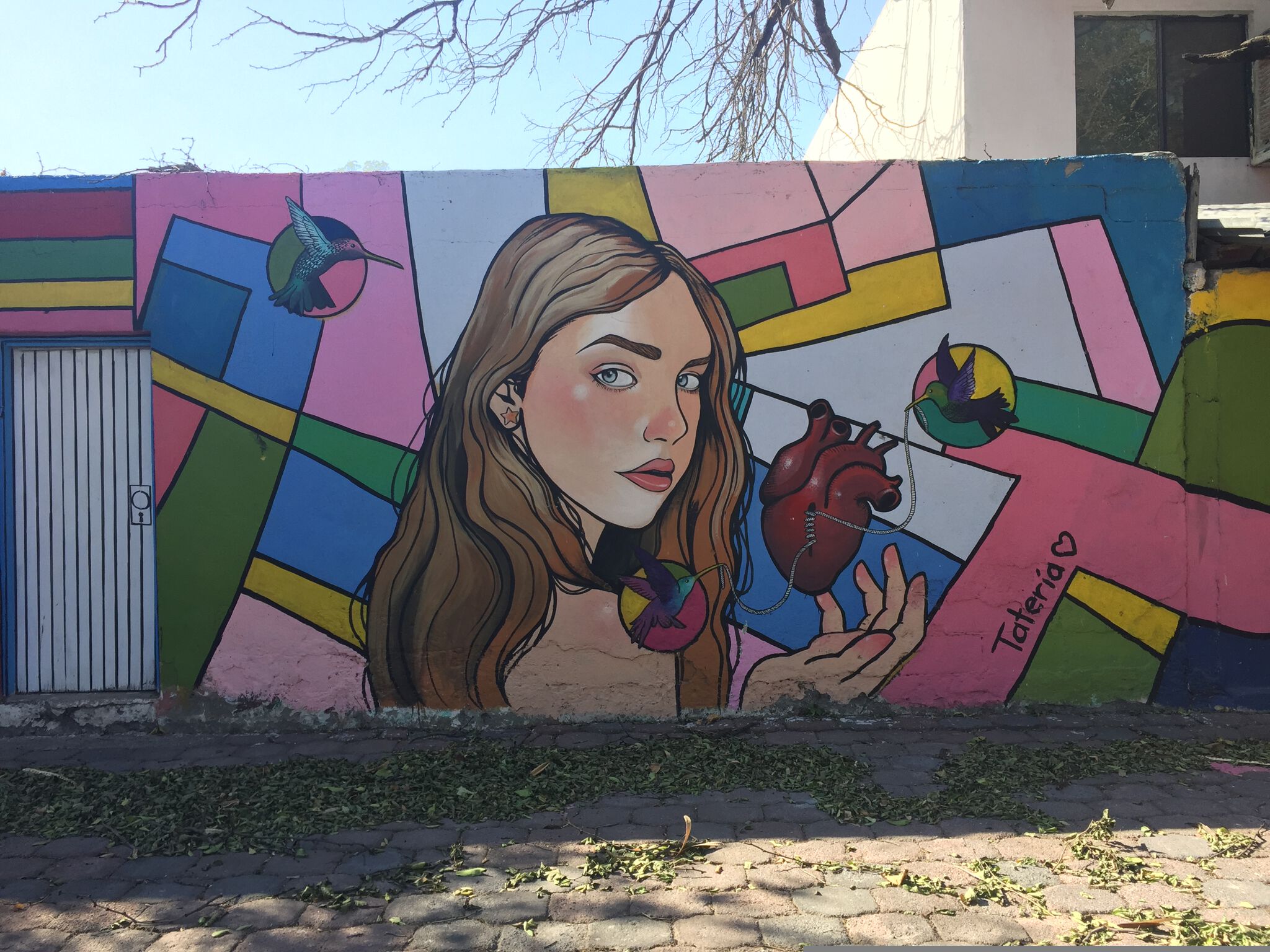 Tateria&mdash;Rainbow