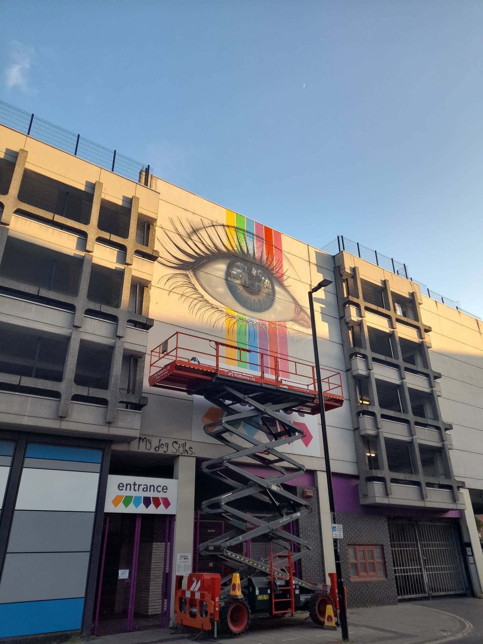 My Dog Sighs&mdash;Chelmsford Eye