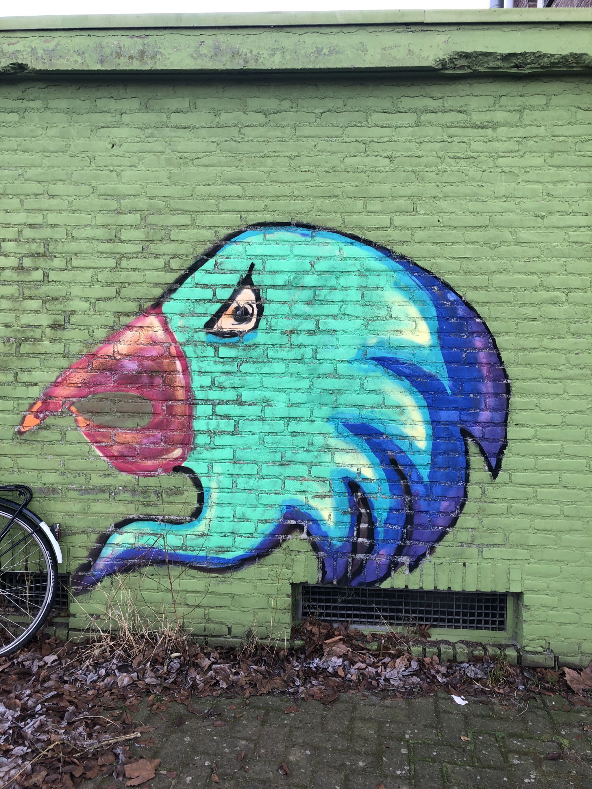 The Parrot&mdash;Untitled