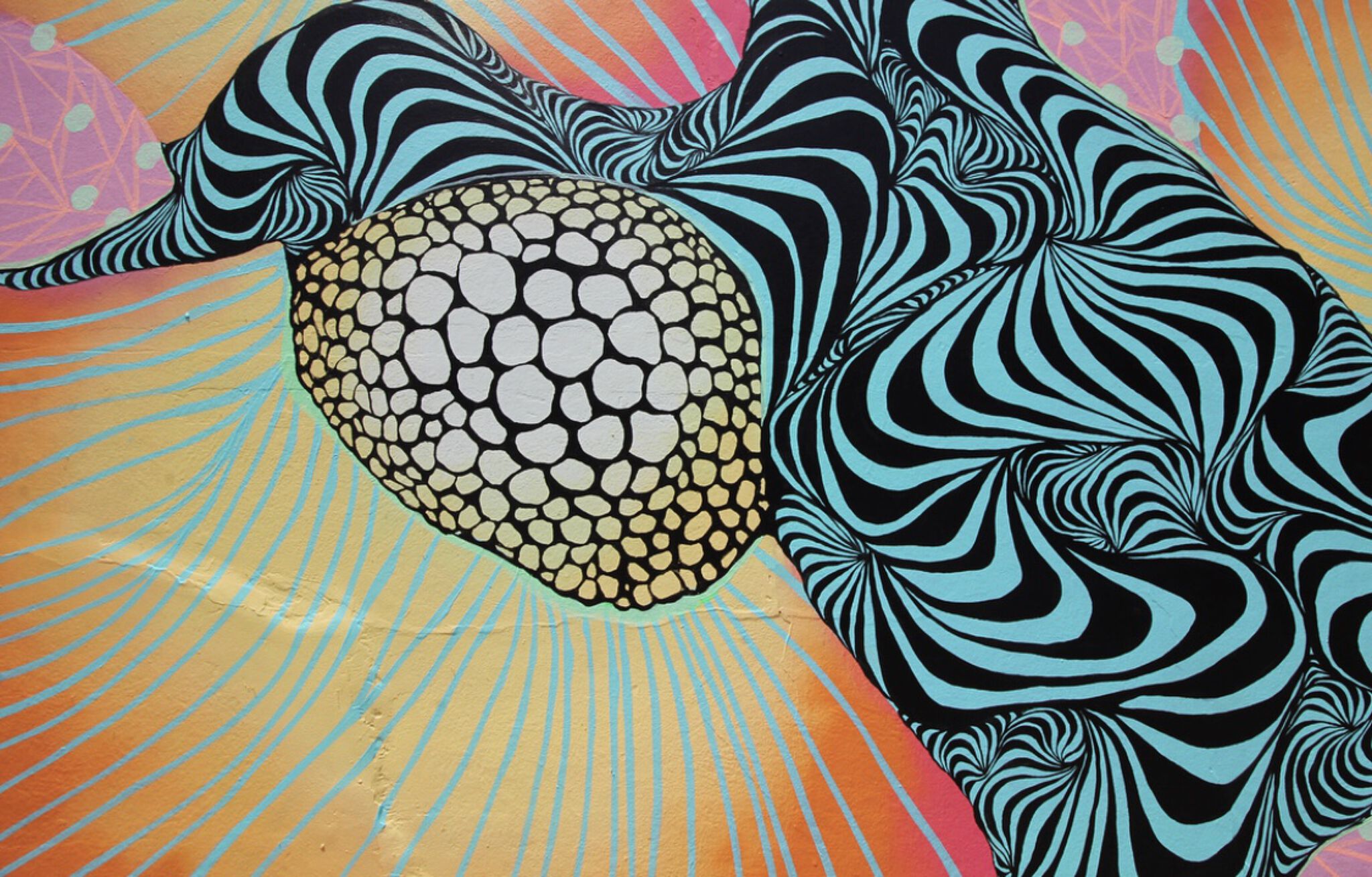 Carocaro, Brad Rhadwood&mdash;Untitled