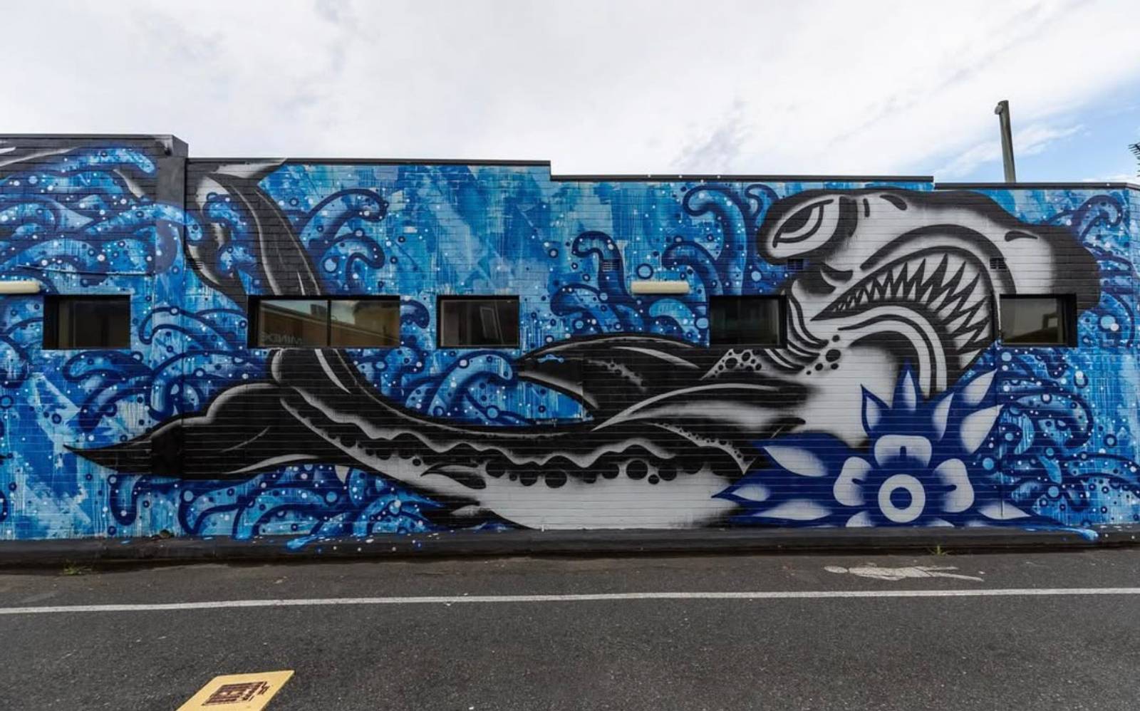 Steen Jones&mdash;Hammerhead Sharks