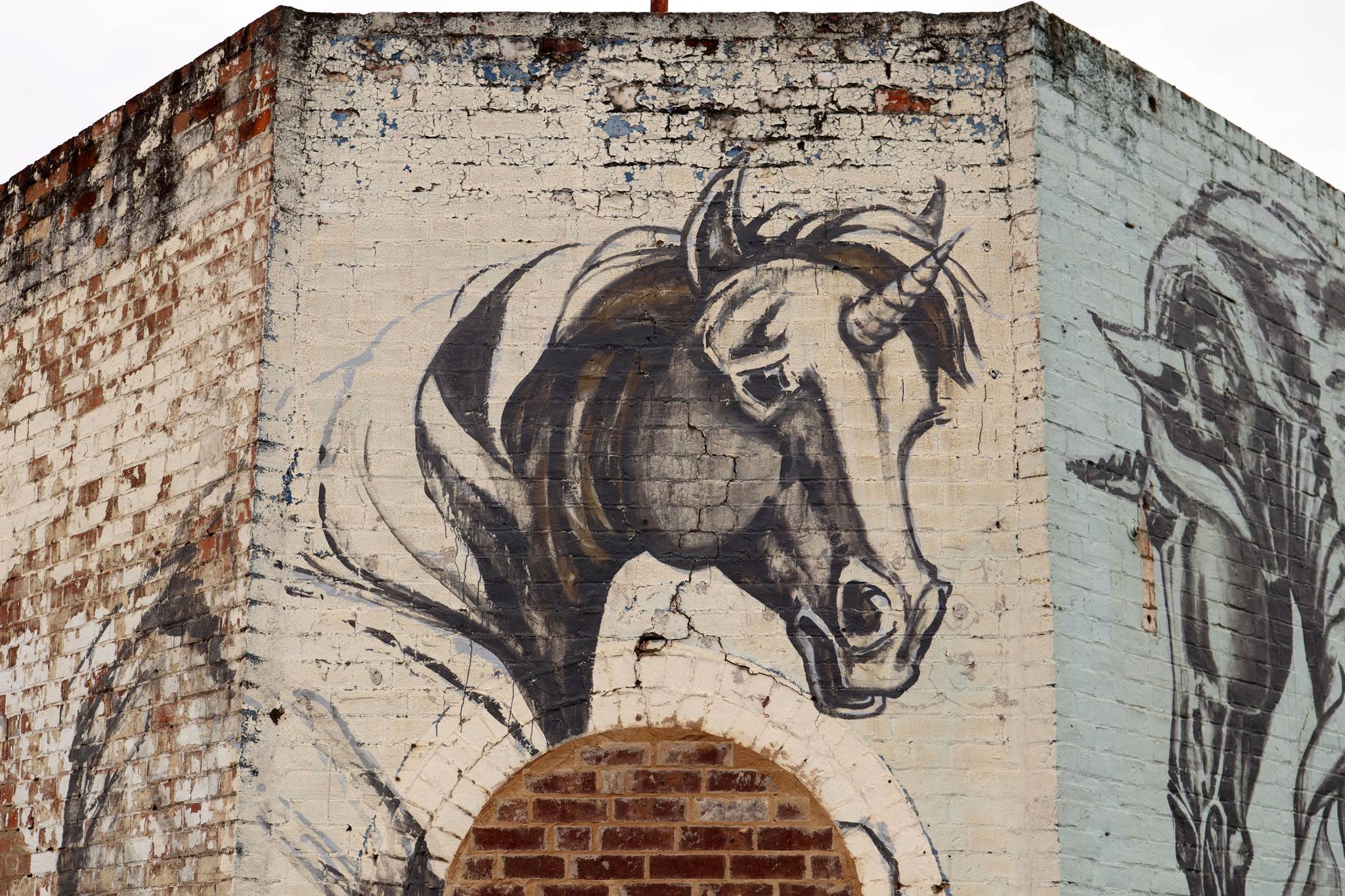 Kaffeine&mdash;Stampede of Unicorns