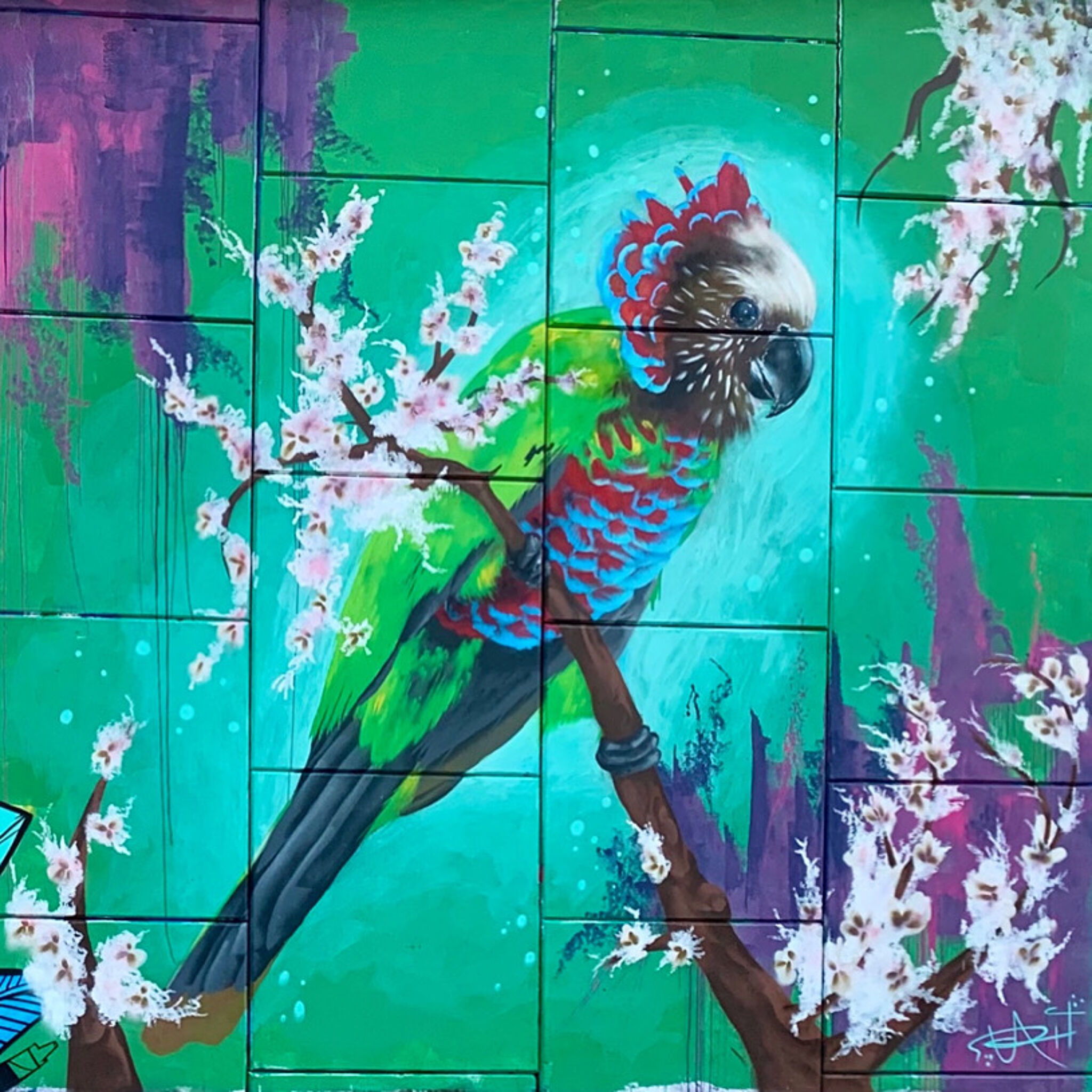 Peachzz&mdash;Red-Fan Parrot