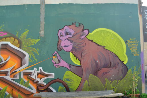 The Monkey, Snake and Turtle