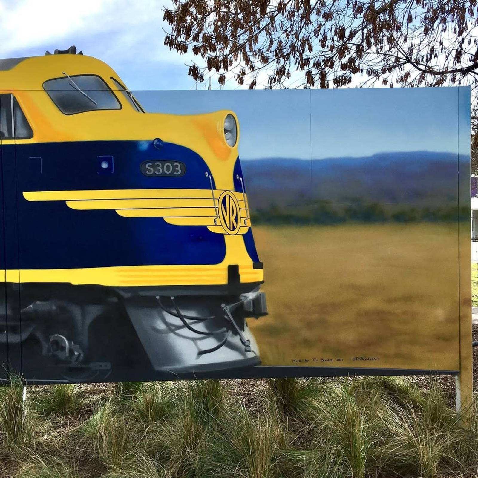 Tim Bowtell&mdash;Southern Aurora Train