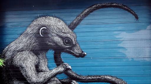 Shrewmouse