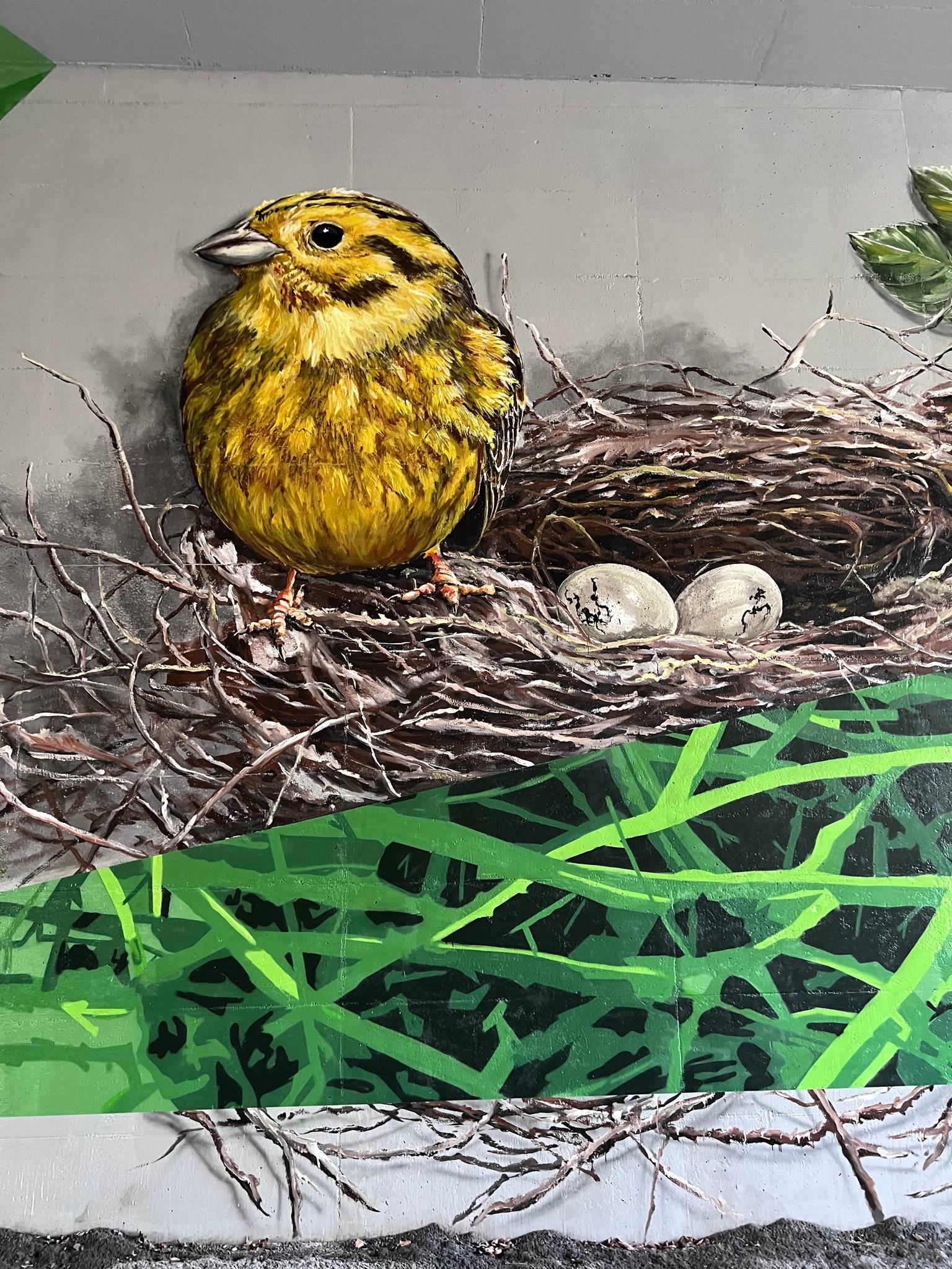 Monja Duponcheel, Jurgen Massagé&mdash;Hallerbos