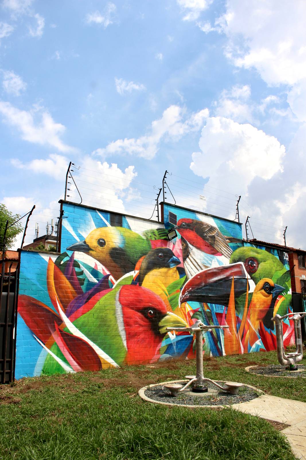 Sancho&mdash;"Aves de Cali"