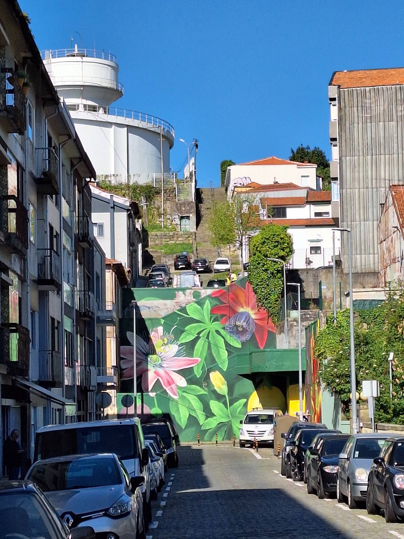 Mura&mdash;Parsiflora