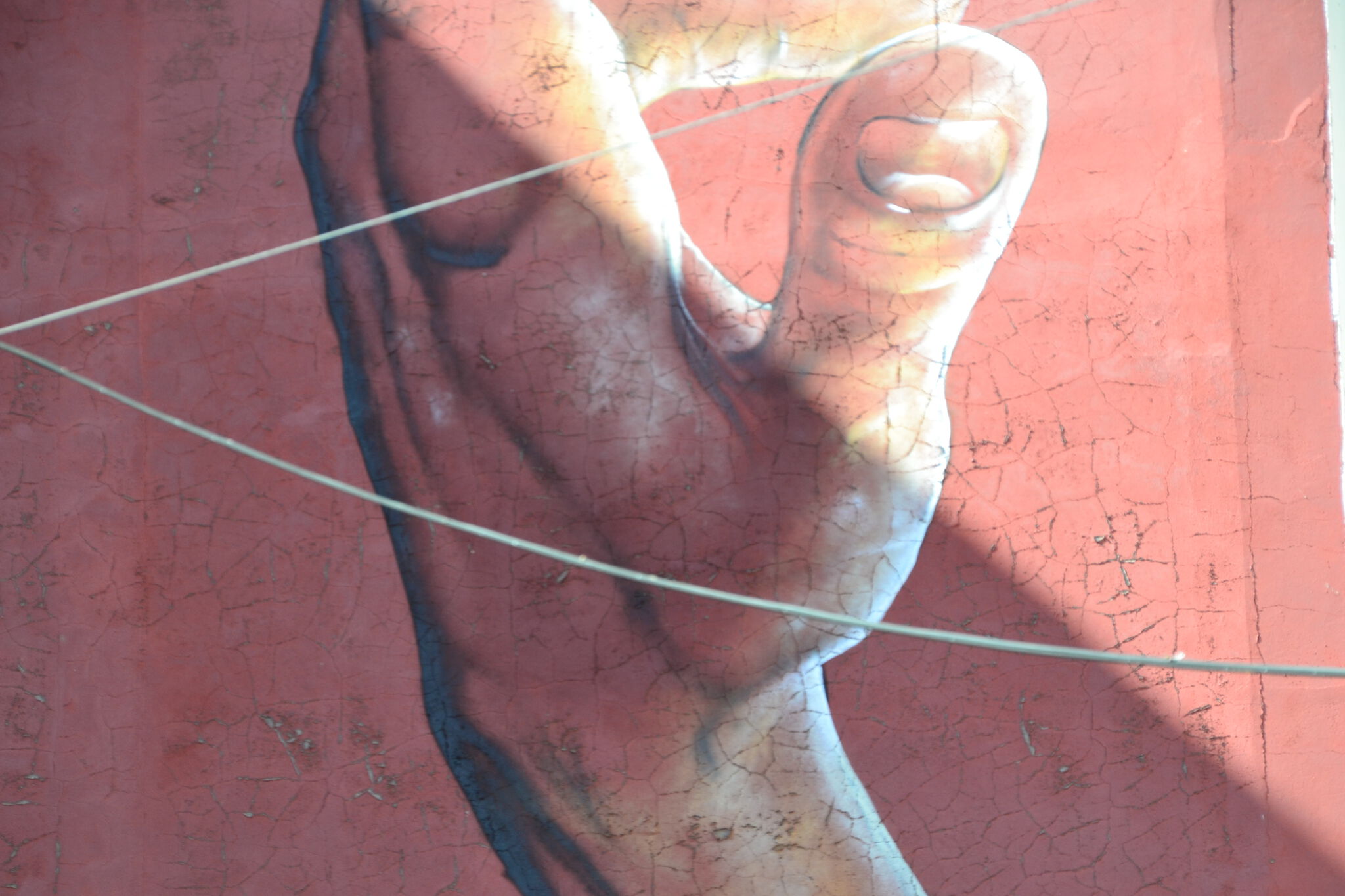 Rojo, El Rojo&mdash;Sombras / Shadows