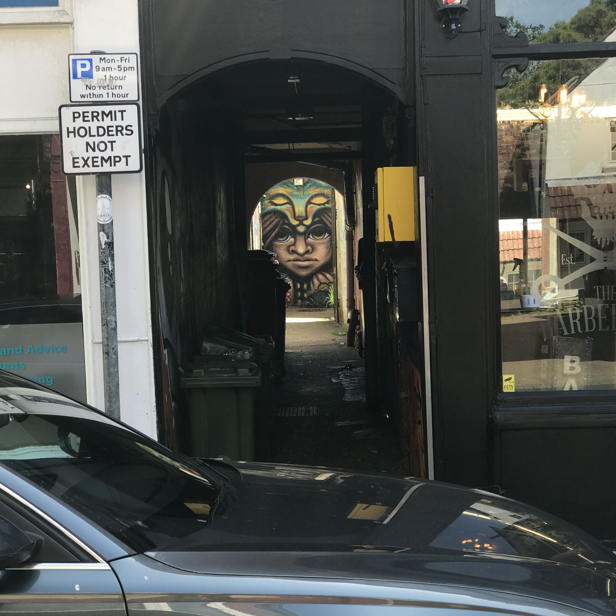 Goya Torres, Metzican&mdash;Castle Road Street Art Gallery