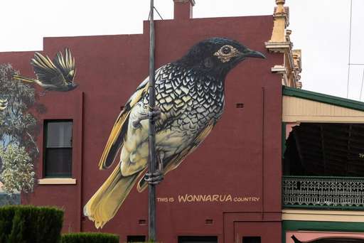 Regent Honeyeater